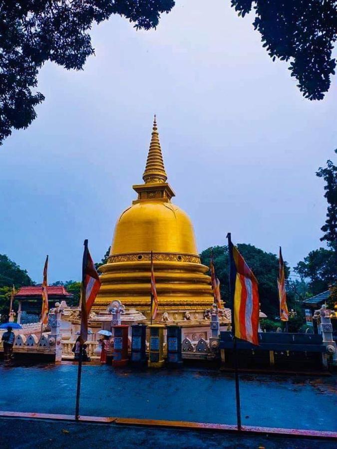 Autumn Home Stay Dambulla Ngoại thất bức ảnh